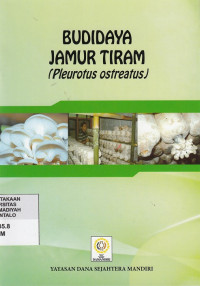 Budidaya Jamur Tiram (pleurotus ostratus)
