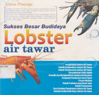 Sukses Besar Budidaya Lobster Air Tawar